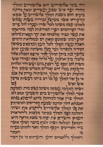 Megilat Esther written on Gvil megilahongvilgreenberg5771
