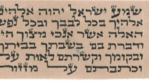 Tefillin Parchment written on Oak Gall treated parchment. Tefillin Parchment written on Oak Gall treated parchment.
