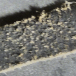 Cracked Retzuot Tefillin Straps